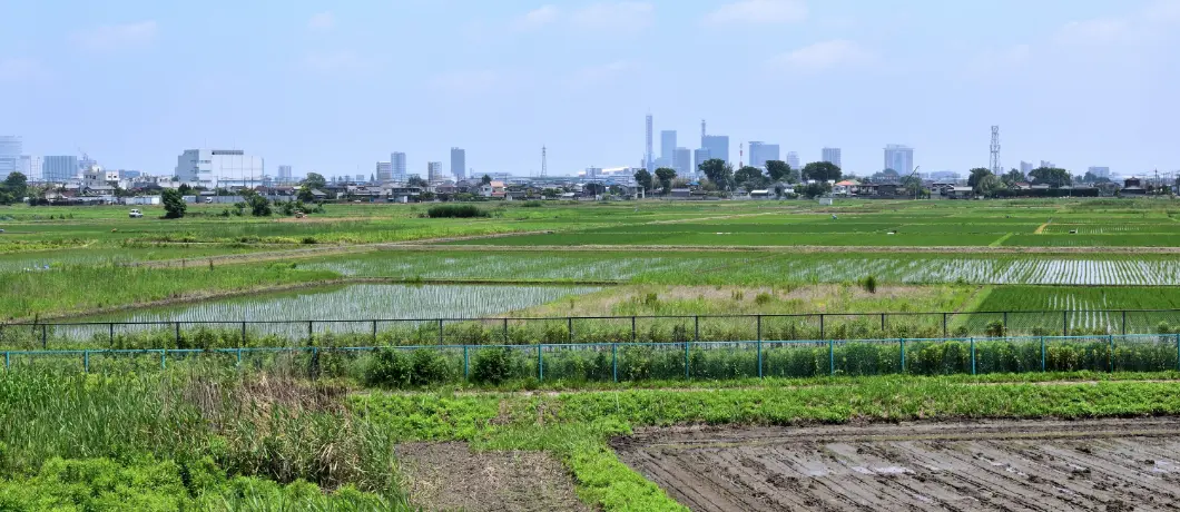 売却が難しいとされている理由